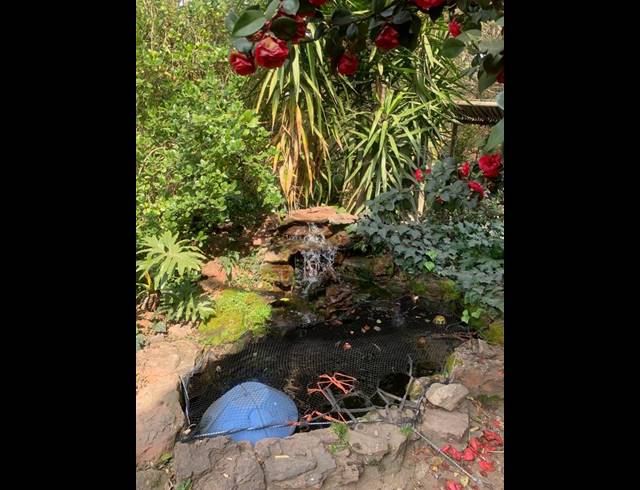 FARM FOR SALE IN GLENFERNESS